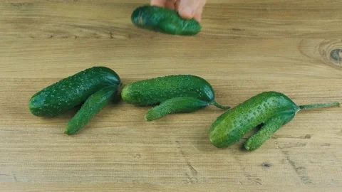 Green Ugly Cucumber Stock Footage 168834601