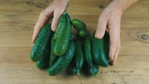 Green Ugly Cucumber Stock Footage 169296033