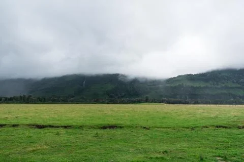 Green under the Mist Stock Photos