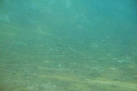 Green underwater pattern Stock Photos