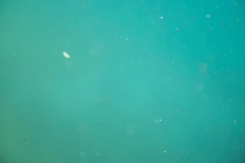 Green underwater pattern Stock Photos