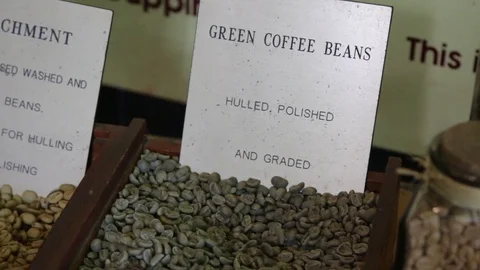 Green unroasted coffee beans Stock Footage 71231255