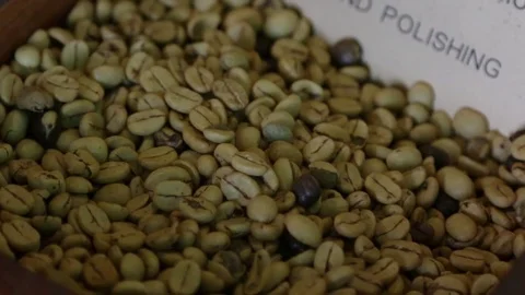 Green unroasted coffee beans Stock Footage 71231257