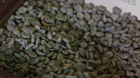 Green unroasted coffee beans Stock Footage 71231301