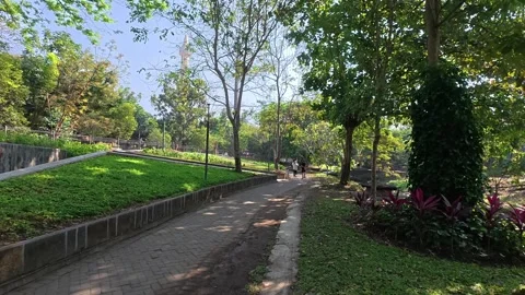 Green urban park pathway surrounded by trees in Yogyakarta Stock Footage 342577070