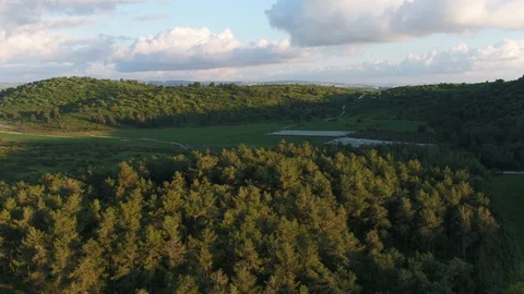 Green Valey in between forest hills Stock Footage 126944481