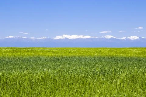 Green valley and caucasus mountain range landscape Stock Photos