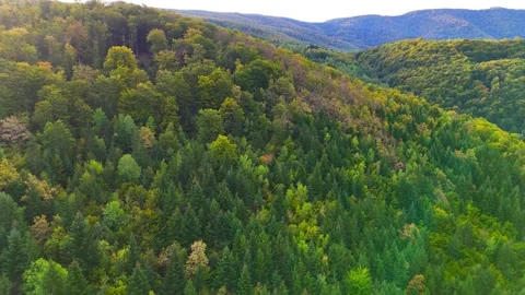 Green valley flight Stock Footage 306268944