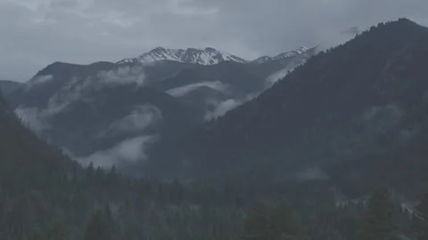 Green Valley In Fog Pans Down to Dirt Road Stockbeeldmateriaal 248737853