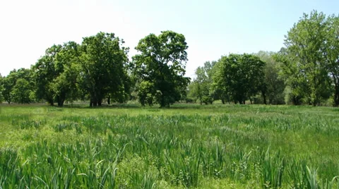 The green valley Stock Footage 35718878