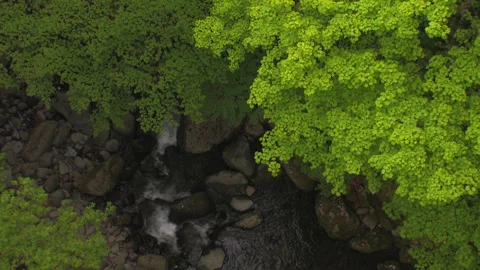 Green Valley Video stock 332809609
