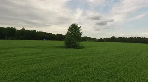 Green valley with a highway at the background Round shot Stock Footage 69067482
