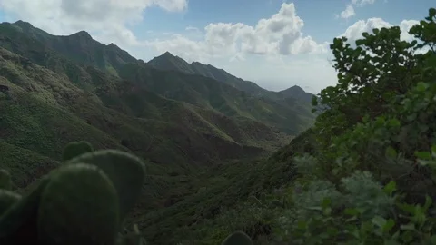 Green valley of the mountain range in the North of the island of Tenerife. Stock Footage 127703133