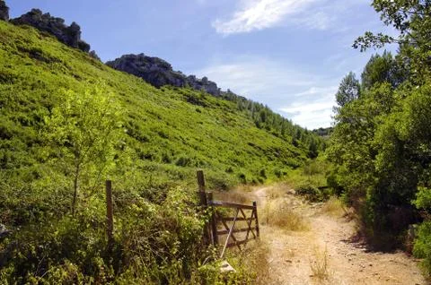 Green valley Stock Photos