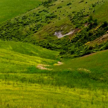 Green valley Stock Photos