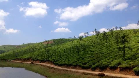 Green Valley Stock Photos