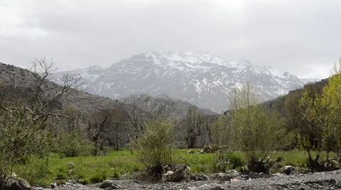 A green valley with a small shallow stream Stock Footage 45078233