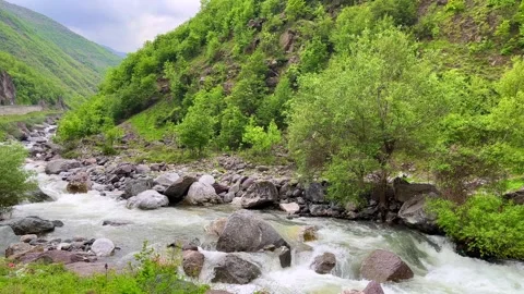Green valley stream with rocks and tree under cloudy mountain sky Stock Footage 310246714