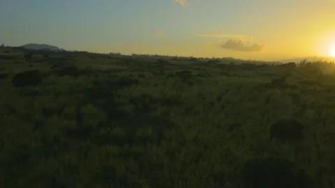 Green Vast Landscape At Sunset Stock Footage 83045090