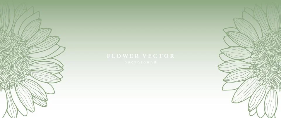 Green vector gradient floral background with sunflower flowers. Stock Illustration