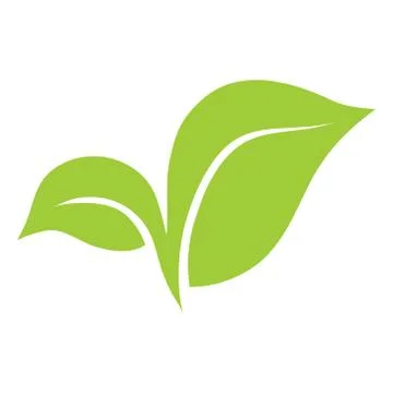 Green vector icon of the two leaves. It can be used for eco, vegan, herbal, h Illustrazione stock