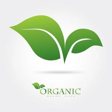 Green vector icon of the two leaves. It can be used for eco, vegan, health or Stock Illustration