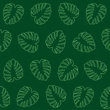 Green vector seamless pattern of monstera deliciosa leaves Stock Illustration