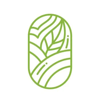 Green vector tea tree leaves for Cafe or Farm Product Label Eco Logo Organic Stock Illustration