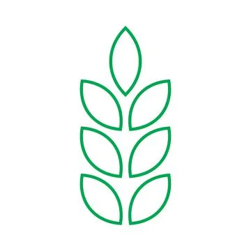 Green vector wheat line icon isolated on white background Stock Illustration