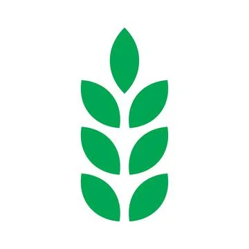 Green vector wheat solid icon isolated on white background Stock Illustration