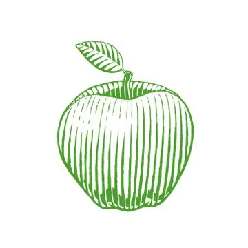 Green Vectorized Ink Sketch of Apple Illustration Stock Illustration