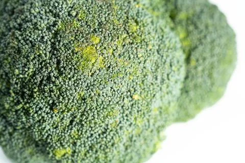 Green vegetable broccoli close up fresh Brassica oleracea glucosinolate Stock Photos
