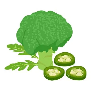 Green vegetable icon isometric vector. Broccoli ruccola green hot pepper slice Stock Illustration