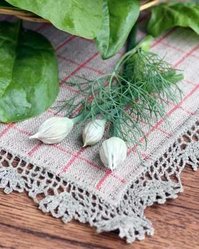 Green vegetable Stock Photos