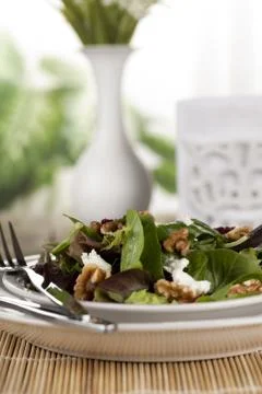 Green vegetable salad Stock Photos
