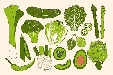 Green vegetable set. Fresh vegetables, organic food Stock Illustration