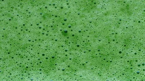 Green vegetable smoothie  in macro view. Healthy lifestyle food concept. Stock Footage 103473970