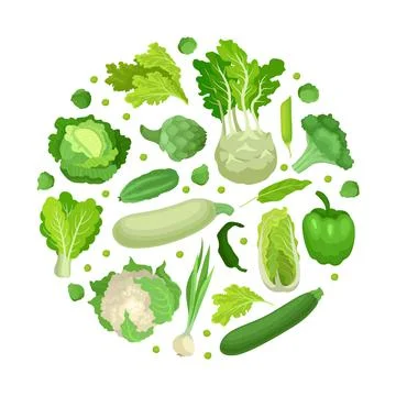 Green vegetables of circular shape. Natural healthy organic food for poster Ilustração Stock