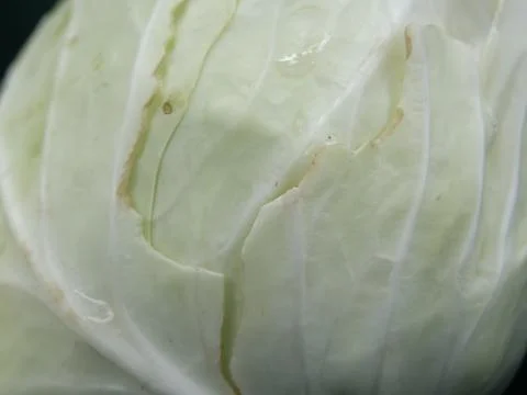 Green vegetables in a close-up macro view at a Brazilian food fair. Fotos de archivo