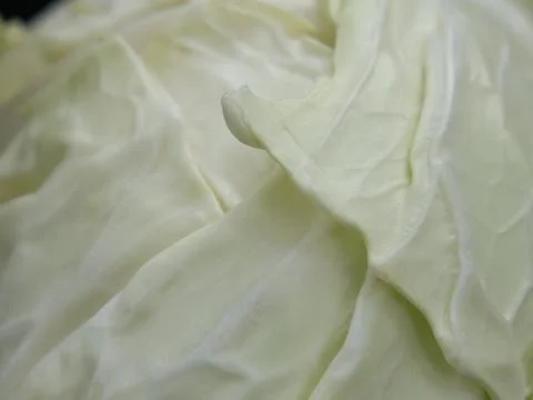 Green vegetables in a close-up macro view at a Brazilian food fair. Stock Photos