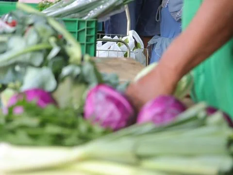 Green vegetables in a close-up macro view at a Brazilian food fair. Fotos de archivo