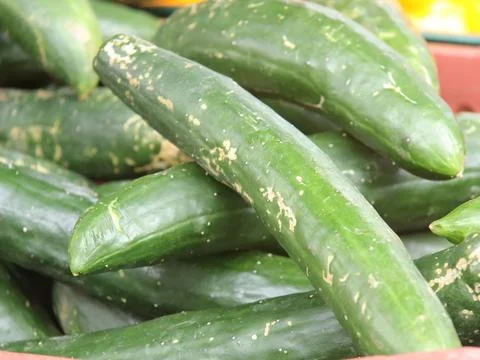 Green vegetables in a close-up macro view at a Brazilian food fair. Fotos de archivo