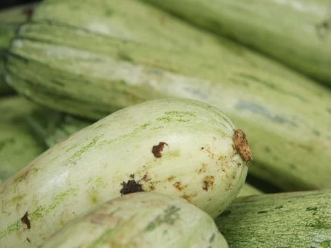 Green vegetables in a close-up macro view at a Brazilian food fair. Stock Photos