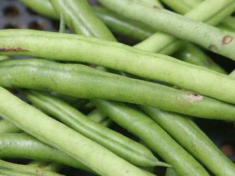 Green vegetables in a close-up macro view at a Brazilian food fair. Fotos de archivo