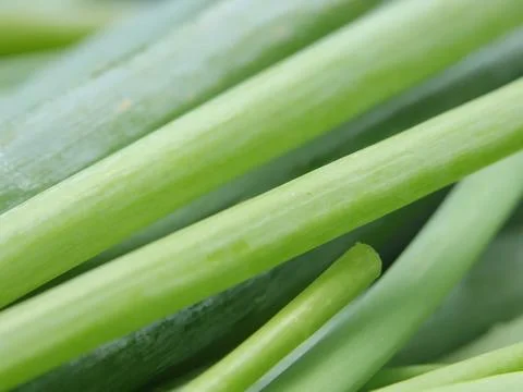 Green vegetables in a close-up macro view at a Brazilian food fair. Fotos de archivo