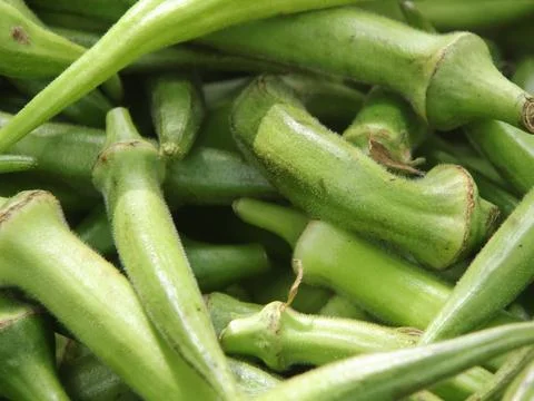 Green vegetables in a close-up macro view at a Brazilian food fair. Fotos de archivo
