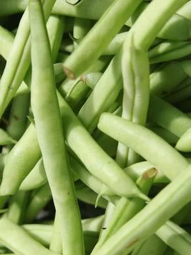 Green vegetables in a close-up macro view at a Brazilian food fair. Fotos de archivo