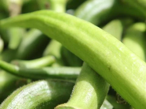 Green vegetables in a close-up macro view at a Brazilian food fair. Stock Photos