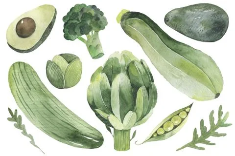 Green vegetables design set 1. radishes, leeks, peas, arugula, parsley Stock Illustration