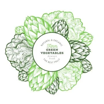 Green vegetables design template. Hand drawn vector food illustration. Engrav Stock Illustration